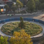 L'ahuehuete di 20 anni diventa simbolo di Stato a Città del Messico