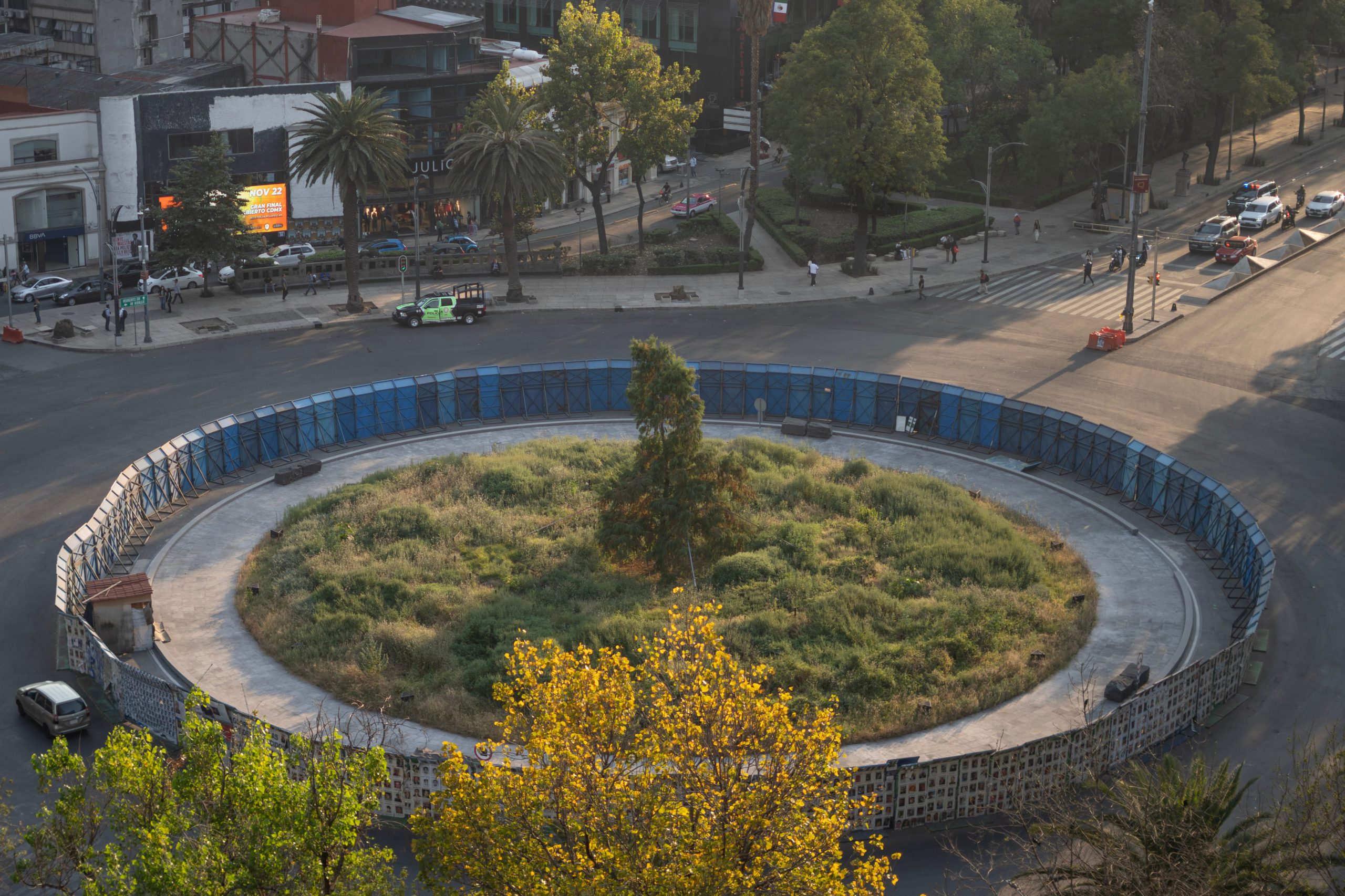 L'ahuehuete di 20 anni diventa simbolo di Stato a Città del Messico