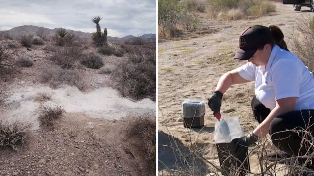 Scoperta agghiacciante nel deserto di Las Vegas: 315 resti umani cremati trovati in un&#039;area desertica vicino alla città