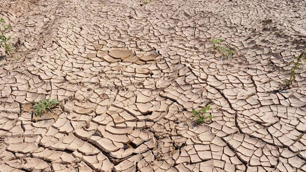 Siccità record ad Adana: l&#039;anno più secco degli ultimi 52 anni con una riduzione del 26% delle precipitazioni