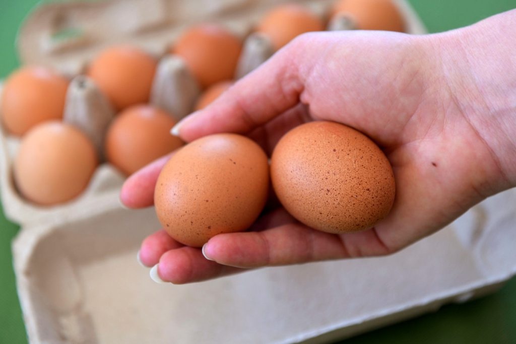 Crisi delle Uova: Carestia e Problemi di Distribuzione nei Negozi di Aldi e Edeka, le Possibili Conseguenze per l&#039;Economia e la Disponibilità di Prodotti Alimentari