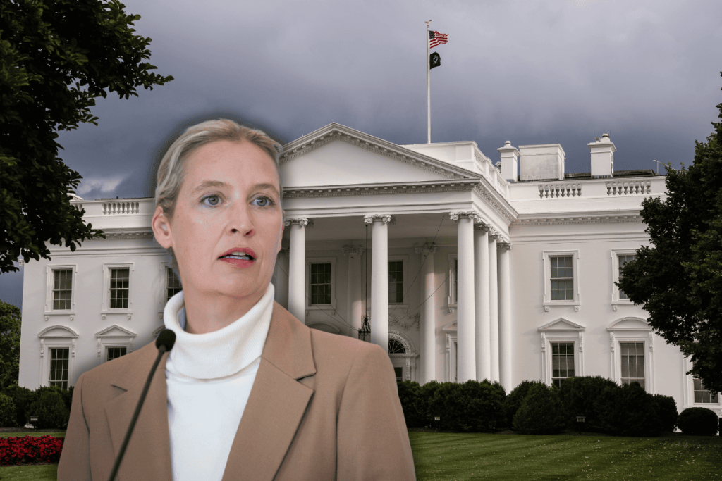 L&#039;AfD stringe alleanza con l&#039;entourage di Trump: cosa significa per la politica tedesca?