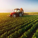 Programma 2026: sostegno alle imprese familiari rurali e iniziative per donne e giovani