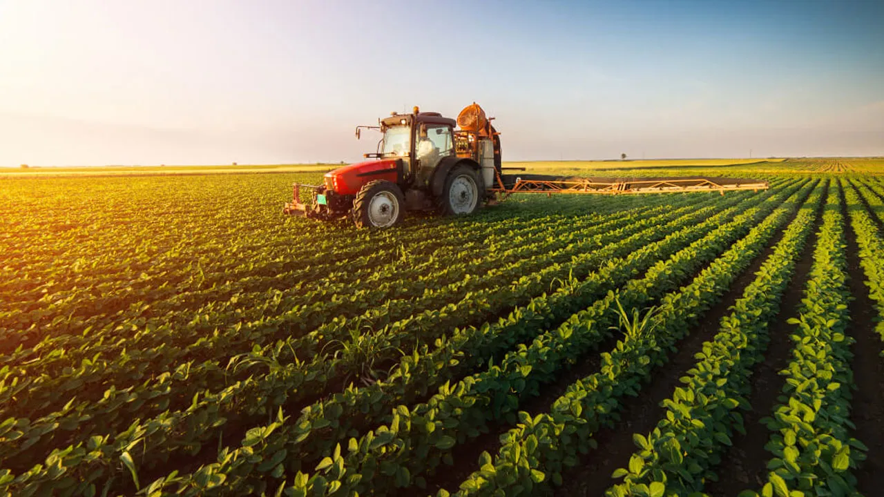 Programma 2026: sostegno alle imprese familiari rurali e iniziative per donne e giovani