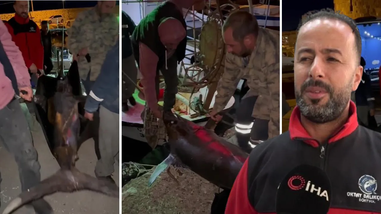 Pescatore di Hatay vende pesce spada da 115 kg a 65.000 TL al chilogrammo