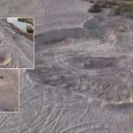 Antalya: gendarmeria arresta tre ladri di sabbia e confisca veicoli