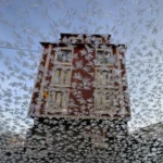 Ardahan: il freddo intenso congela il fiume Kura e i vetri dei veicoli