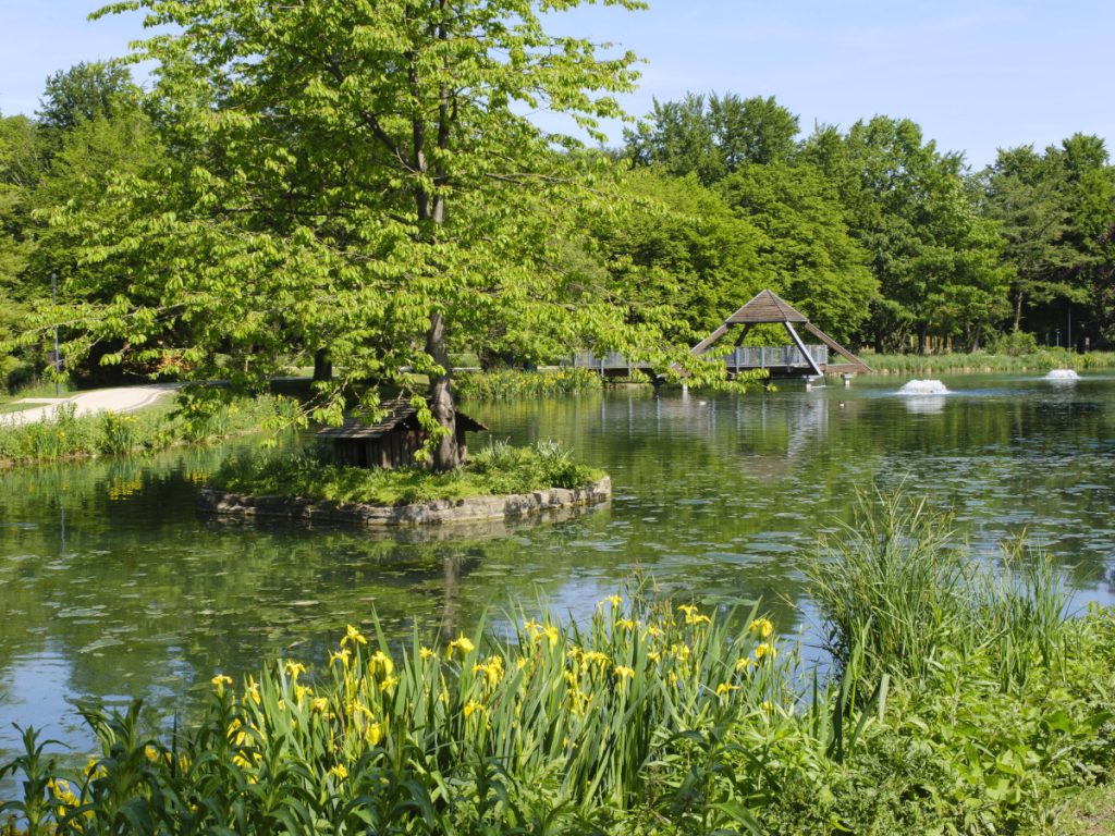 Un addio commovente: la storia di Friedhelm e il suo ultimo saluto a un luogo speciale