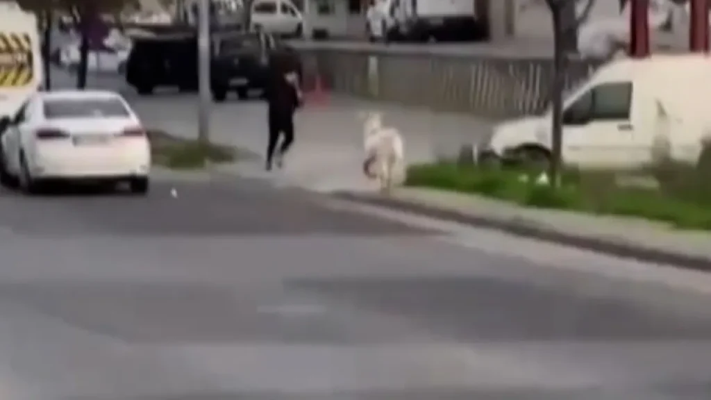 Richiesta di invio del testo originale per la riscrittura