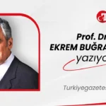 Assistenza: Mancata Ricezione del Testo dell'Articolo