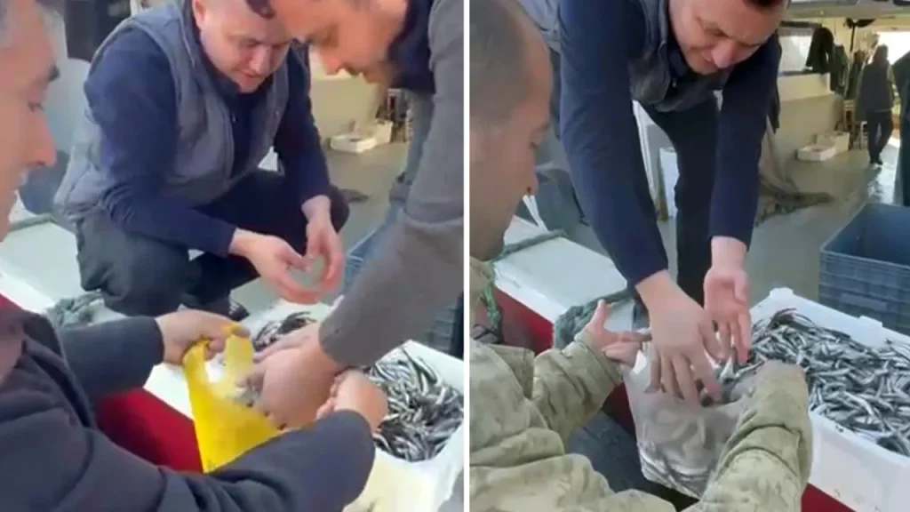 Pescatori di Balıkesir protestano contro i prezzi elevati nei banchi di mercato