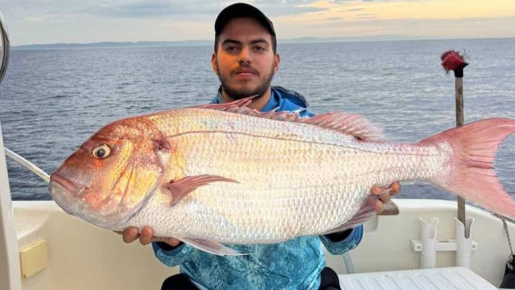Pescatori di Çanakkale Sorpresi da un&#039;enorme Cattura di Mercan Balığı