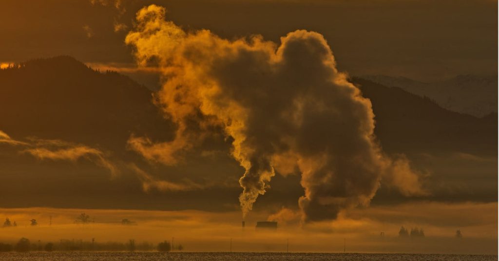 I Crediti di Carbonio: Uno Strumento Fondamentale nella Lotta contro il Cambiamento Climatico