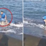 Operazione di controllo con droni a Samsun: 200 chili di mitili sequestrati nella lotta contro la pesca illegale