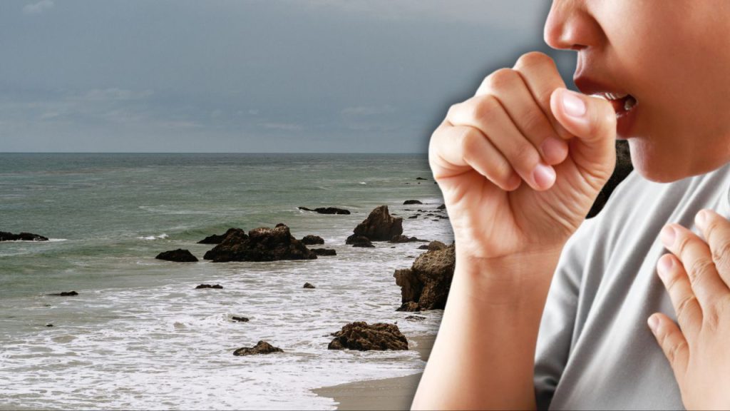 Polvere tossica dal lago Salton: un pericolo per la salute pubblica in California