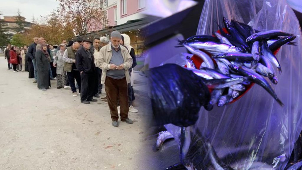 Calo del prezzo del hamsi a Çorum: cosa sta succedendo nella città senza costa sul mare