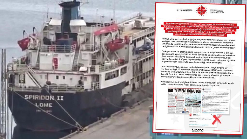 Tentativo di introdurre animali senza identificazione nel paese fallito: le autorità respingono la spedizione a causa di problemi di identificazione