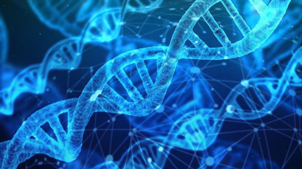 Tecnologia del DNA: gli scienziati europei possono prevedere età, origine e caratteristiche fisiche con alta precisione