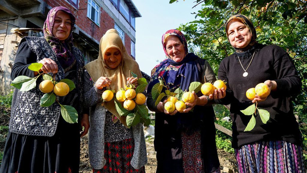 Donne in prima linea: una nuova fonte di reddito attraverso la produzione di datteri secchi di alta qualità