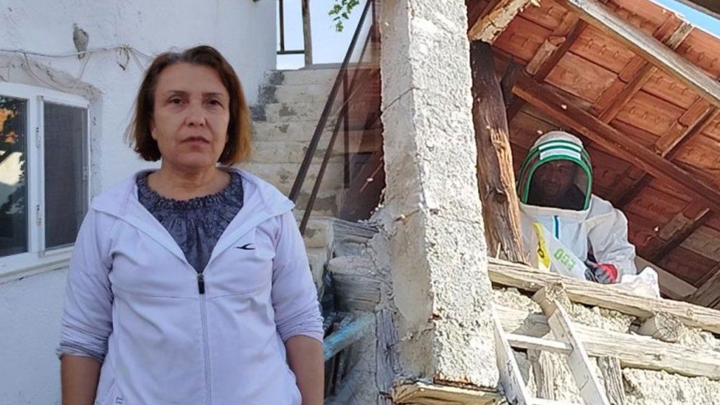 Donna Ricoverata in Ospedale Dopo Puntura di Ape: La Prevenzione è Fondamentale