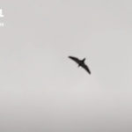 Terma A/S prova tecnologia di rilevamento droni in Ucraina con supporto di Brave1