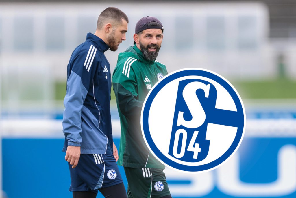 FC Schalke 04: Una Svolta Positiva per il Futuro della Squadra