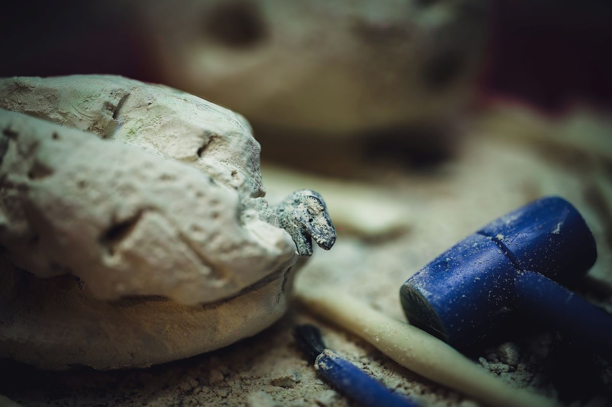 Uova di titanossauro trovate in Spagna: prova di dinosauri europei nel Cretaceo superiore