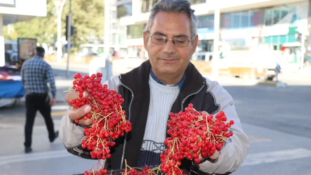 Il Gilaburu: un Frutto Miracoloso per la Salute e il Benessere
