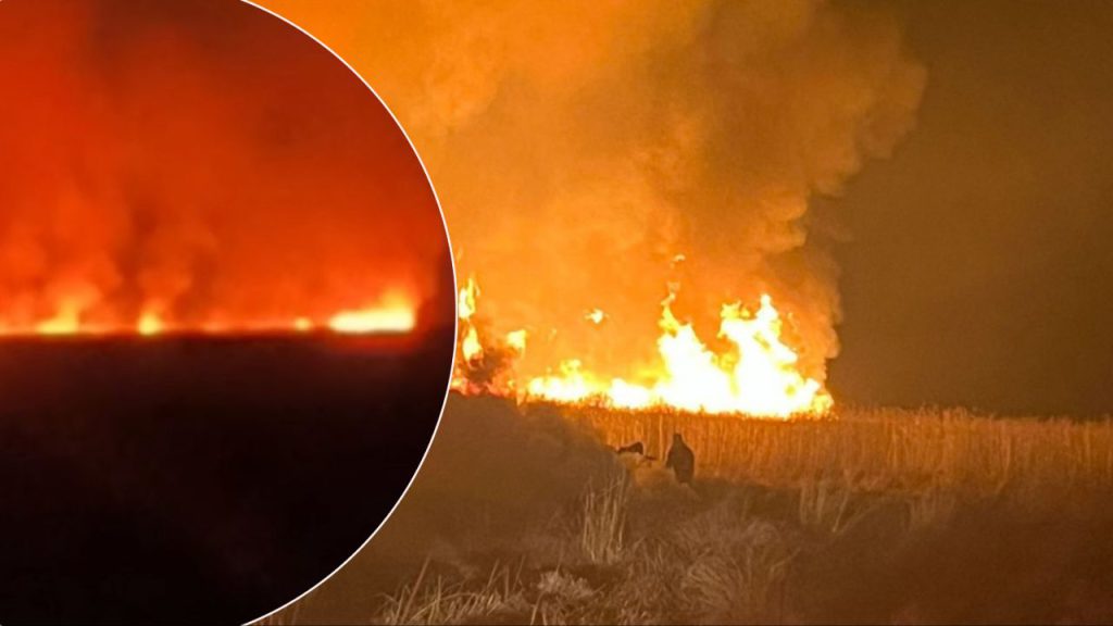 Incendio devastante nella palude di Nehil, un paradiso per gli uccelli in Turchia