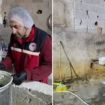 Garage di Kilis usato per produrre latte senza certificazione e con igiene inadeguata