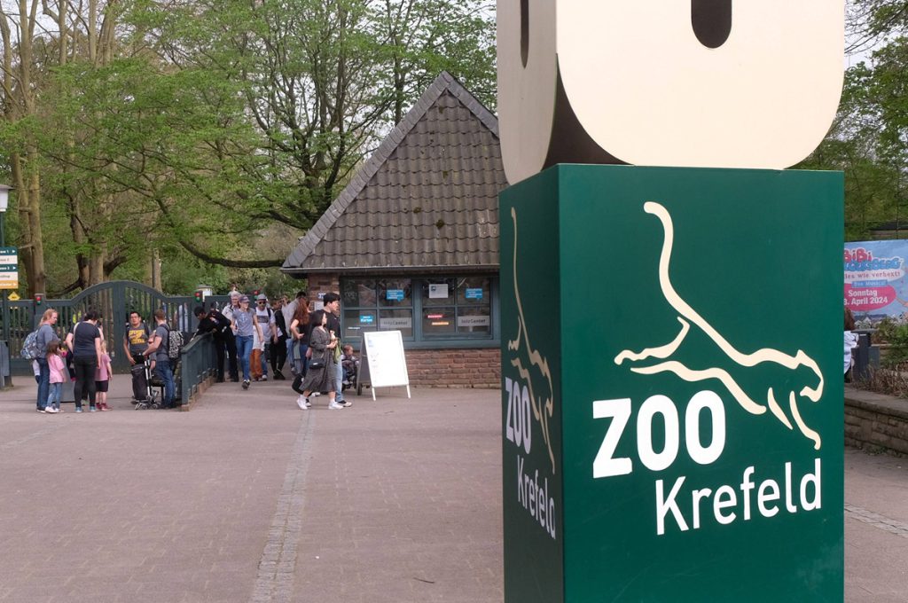 Zoo della Renania Settentrionale‑Vestfalia condivide video notturni su Facebook