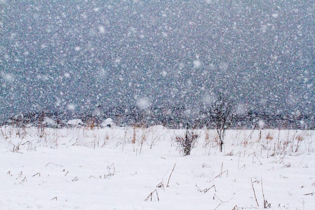 Neve prevista per lunedì 17 novembre in molte regioni tedesche