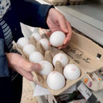 Un americano ride davanti alle uova in un supermercato Edeka in Germania