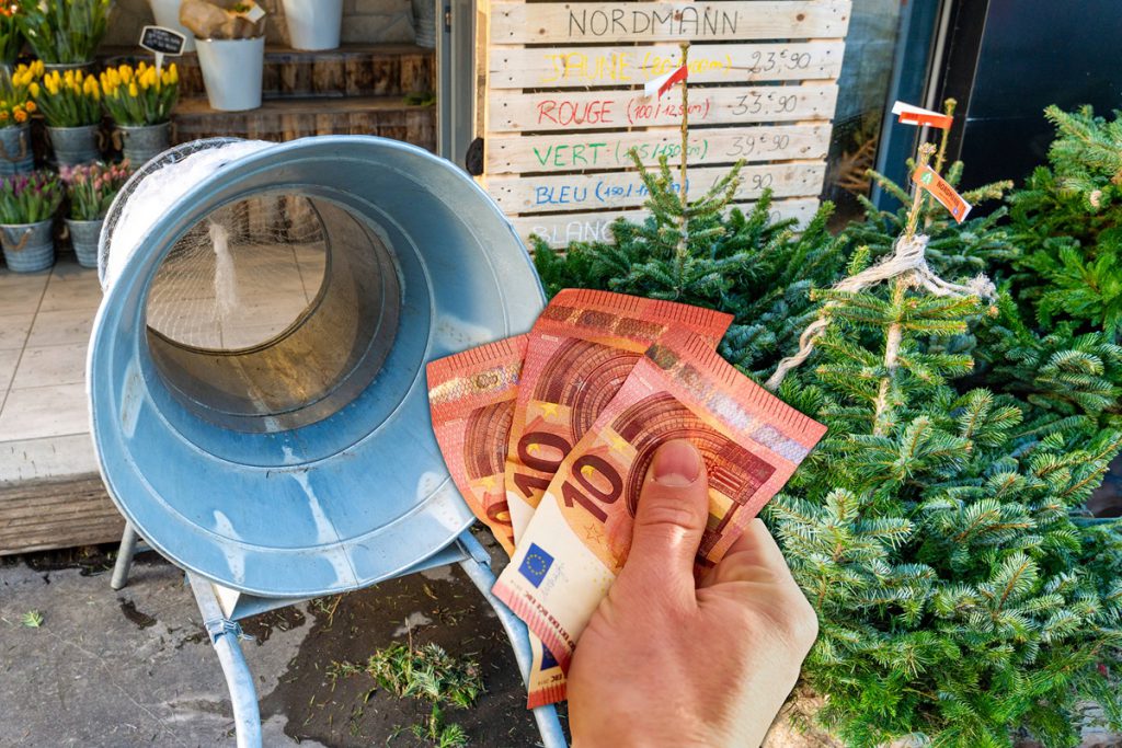 Aumento dei Prezzi degli Alberi di Natale: Gli Eventi Meteorologici Estremi Incidono sulla Produzione e sui Prezzi delle Festività