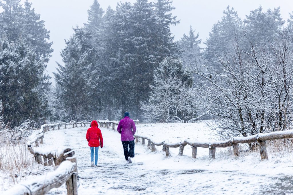 In Germania arriva la prima neve della stagione