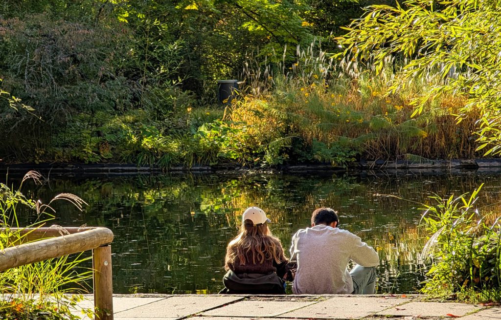 Venere entra nello Scorpione: tre segni zodiacali pronti a vivere una fase romantica intensa