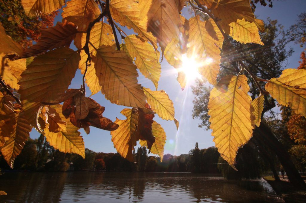 Temperature Anomale nel Nord Reno-Westfalia: Previsioni e Conseguenze di un Autunno Insolito

Introduzione
La regione del Nord Reno-Westfalia (NRW) sta attraversando un periodo di temperature anomale, con un impatto significativo sulla vita quotidiana e sull&#039;ambiente. Un esperto del meteo ha fornito una previsione sulla possibile durata di questo fenomeno, che potrebbe avere conseguenze importanti per la popolazione locale.

Previsioni Meteo
Secondo l&#039;esperto, potrebbe volerci ancora del tempo prima che si verifichino temperature autunnali &quot;normali&quot; nella regione. La popolazione dovrà quindi continuare a sopportare le condizioni climatiche attuali, che potrebbero influire sulla salute, sull&#039;agricoltura e sull&#039;ambiente.

Approfondimento
Il fenomeno delle ondate di caldo in autunno non è nuovo, ma la sua durata e intensità possono variare notevolmente di anno in anno. Gli esperti del meteo stanno monitorando la situazione per fornire previsioni più precise e aiutare la popolazione a prepararsi per le possibili conseguenze.

Possibili Conseguenze
Le ondate di caldo prolungate possono avere conseguenze negative sulla salute, sull&#039;ambiente e sull&#039;agricoltura. È importante che la popolazione sia informata e preparata per affrontare queste sfide, che potrebbero includere problemi di salute, danni alle colture e impatti sull&#039;ecosistema.

Opinione
Non è possibile fornire un&#039;opinione oggettiva su questo argomento, poiché le previsioni meteo sono basate su dati scientifici e non su giudizi personali. Tuttavia, è importante notare che la consapevolezza e la preparazione sono fondamentali per affrontare le sfide climatiche e ridurre l&#039;impatto delle ondate di caldo sulla vita quotidiana.

Analisi Critica dei Fatti
L&#039;analisi dei dati meteo rivela che le ondate di caldo in autunno sono un fenomeno complesso, influenzato da vari fattori come le condizioni atmosferiche e le correnti oceaniche. È importante considerare questi fattori per comprendere meglio le cause e le conseguenze delle ondate di caldo e sviluppare strategie per mitigarne gli impatti.

Relazioni con altri fatti
Le ondate di caldo in autunno possono essere correlate ad altri fenomeni climatici, come il riscaldamento globale e le variazioni nella circolazione atmosferica. È importante considerare queste relazioni per comprendere meglio il contesto climatico e sviluppare strategie per affrontare le sfide climatiche a lungo termine.

Contesto storico
Le ondate di caldo in autunno non sono un fenomeno nuovo, ma la loro frequenza e intensità possono variare nel corso degli anni. È importante considerare il contesto storico per comprendere meglio le tendenze climatiche e sviluppare strategie per affrontare le sfide climatiche future.

Fonti
La fonte di questo articolo è il sito web di rss-feed-url.com, che fornisce informazioni aggiornate sulle previsioni meteo e sui fenomeni climatici. È importante consultare fonti attendibili e aggiornate per rimanere informati sulle condizioni climatiche e sulle sfide climatiche.