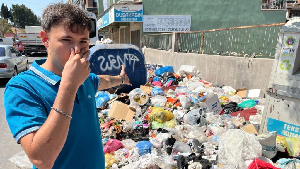 Crisi di pulizia a İzmir: l&#039;invasione delle mosche nere e le possibili conseguenze per la salute pubblica