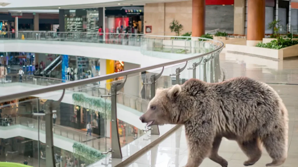 Orso entra in centro commerciale di Akita e viene ucciso dalle squadre di intervento