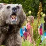 Orso attacca studenti e insegnanti durante gita scolastica a Bella Coola, Canada