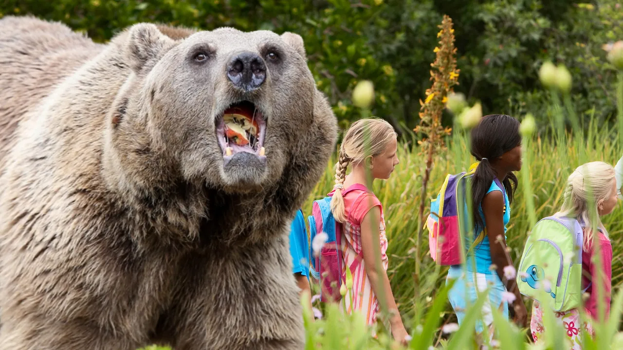 Orso attacca studenti e insegnanti durante gita scolastica a Bella Coola, Canada