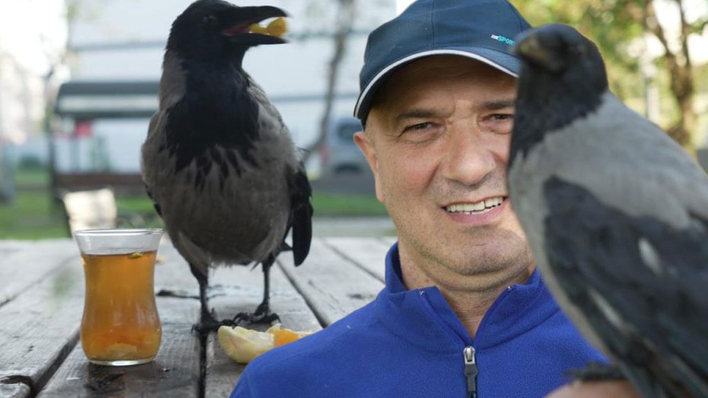 Un Corvo Diventa Membro della Famiglia: La Toccatne Storia di Şakir, il Karga che Ha Conquistato i Cuori della Turchia