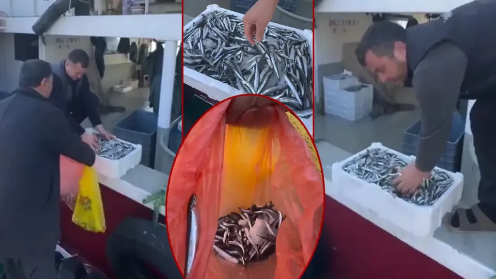 Pescatori di Paşalimanı distribuiscono gratuitamente il pesce fresco per contrastare i bassi prezzi di acquisto
