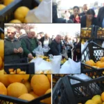 Mandarini di Samandağ: produzione a 2‑4 TL, vendita al dettaglio a 30 TL e distribuzione gratuita ai cittadini