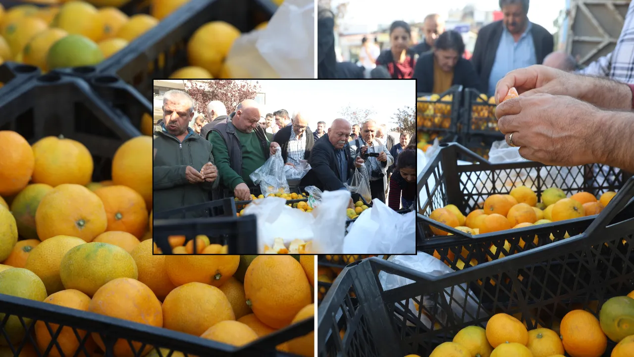 Mandarini di Samandağ: produzione a 2‑4 TL, vendita al dettaglio a 30 TL e distribuzione gratuita ai cittadini