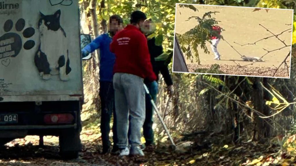 Caso di crudeltà verso un cane randagio: un dipendente del comune arrestato dopo un atto di violenza a Edirne