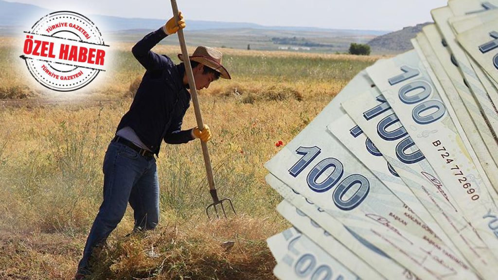 Ritorno alle Campagne: Il Governo Incentiva la Rivitalizzazione delle Zone Rurali con Investimenti e Sostegni Economici