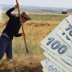 Ritorno alle Campagne: Il Governo Incentiva la Rivitalizzazione delle Zone Rurali con Investimenti e Sostegni Economici