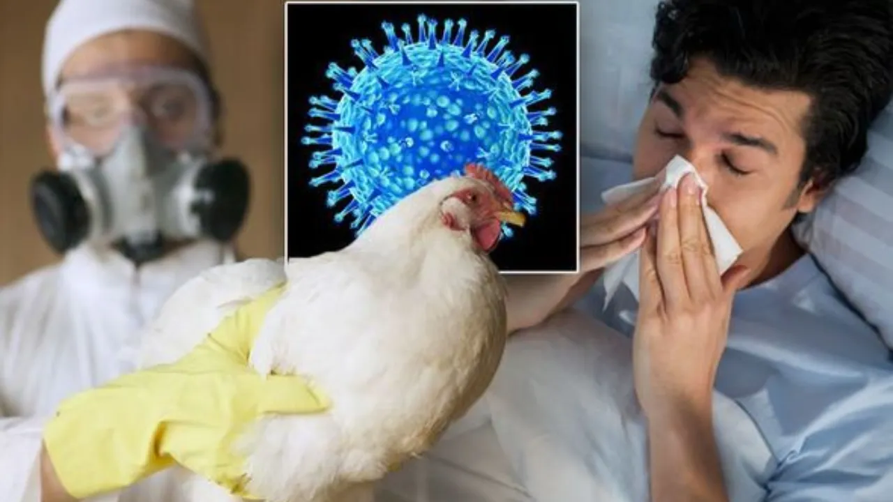 H5N5: primo decesso umano registrato a Washington