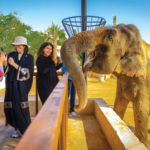 Riyadh Zoo inaugurato con oltre 1600 animali durante Musim Riyadh 2025